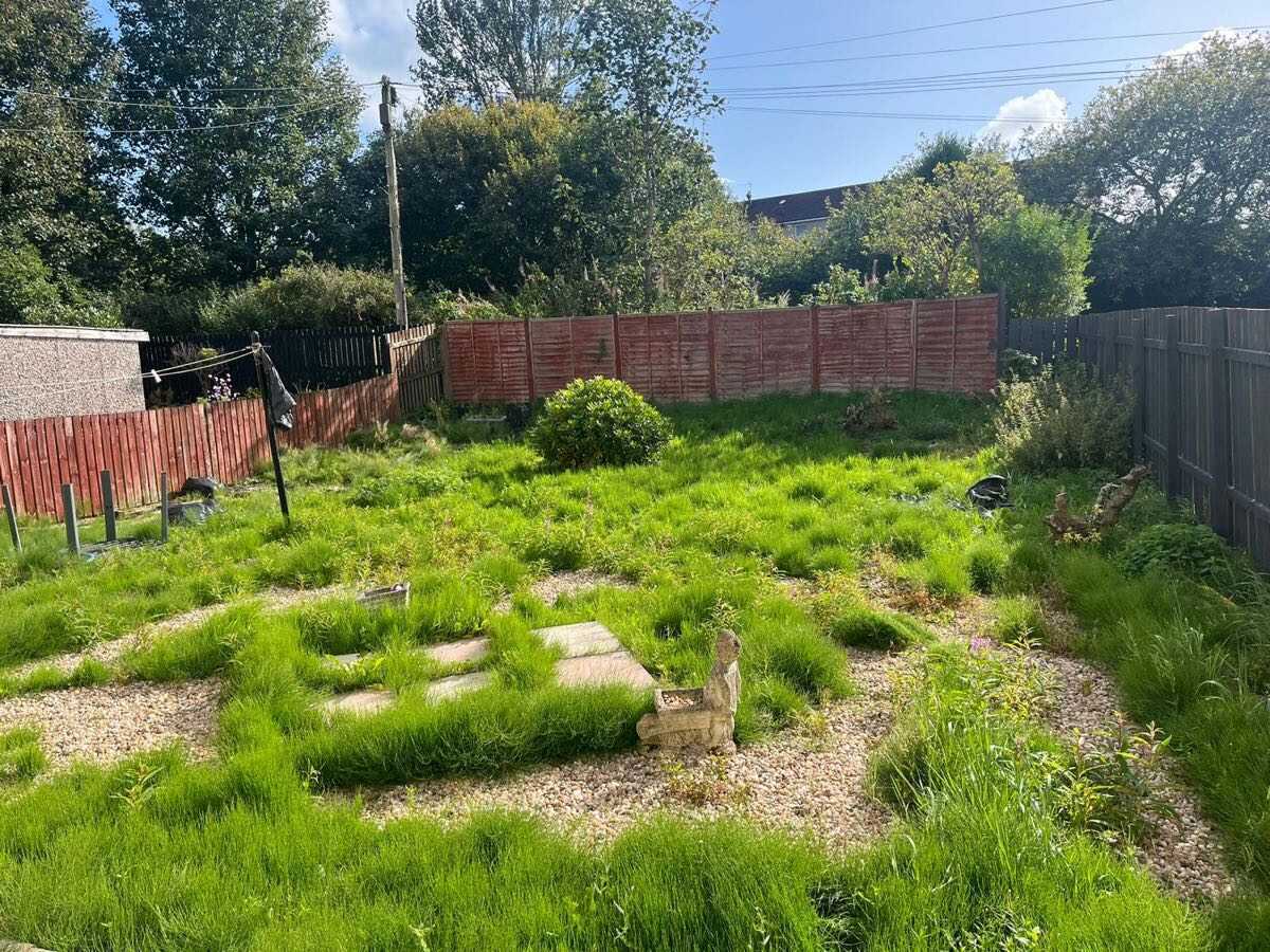 Before — Overgrown garden cleared and ground prepared for a new lawn