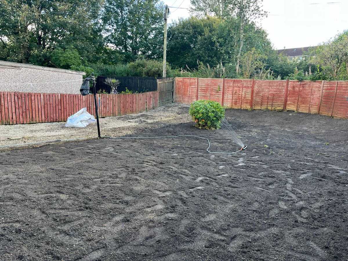 After — Overgrown garden cleared and ground prepared for a new lawn