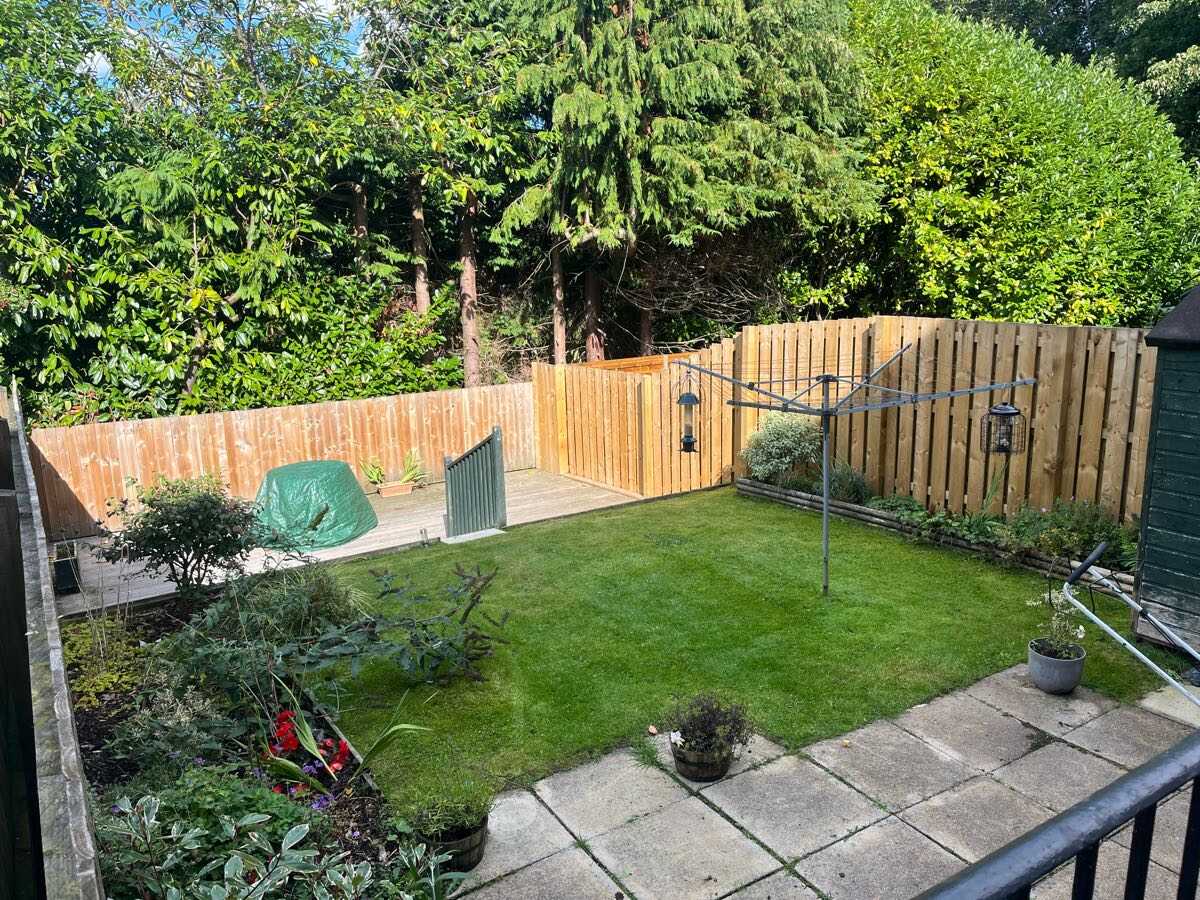 Professionally maintained back garden with a striped lawn in Glasgow
